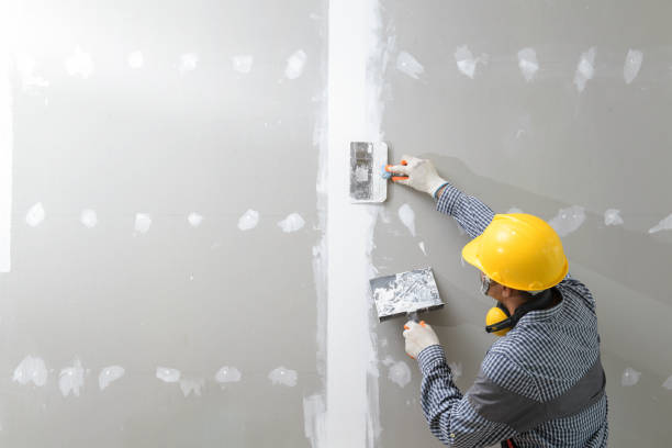 Best Commercial Mold Inspection  in Elizabeth, CO