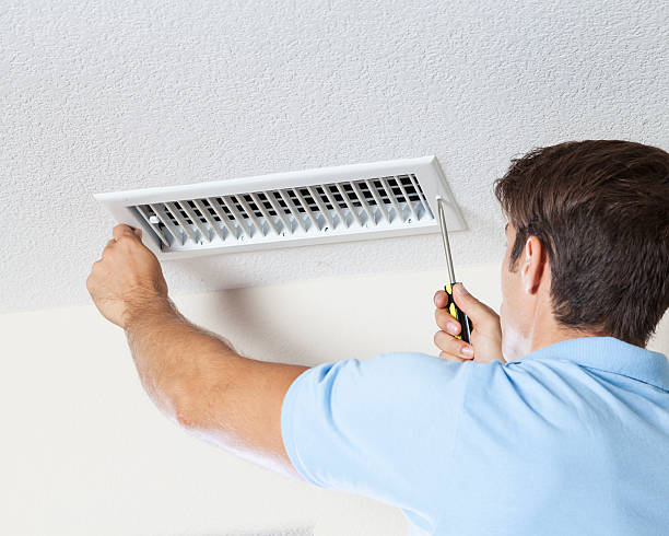 Best Emergency Mold Remediation  in Elizabeth, CO